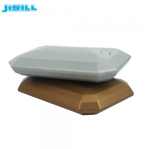 China Irregular Shape Fan Ice Pack Freezer Ice Blocks Food Safe Plastic Material supplier