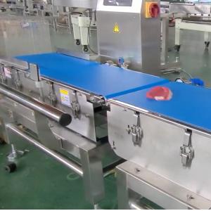 CW220 120 BPM Belt Check Weigher Weight Sorting Machine