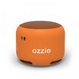 Battery Powered Mini Outdoor Speaker Bluetooth 5.0 Power Output