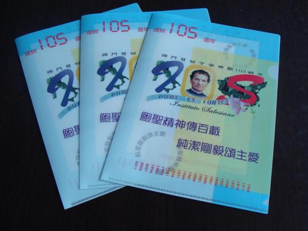 Carpeta de archivos plástica de lujo con la impresión de CMYK
