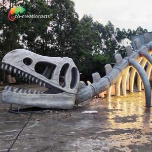 China ISO Animatronic Dinosaur Skeleton Passageway supplier