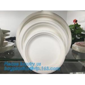 China Compostable biodegradable dinner plate corn starch plate,Elegant Disposable Corn Starch Bio Plastic Dinner Plates bagpla supplier