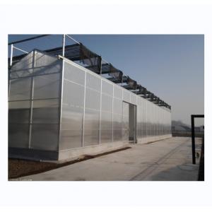 Strong Resistance Multi Span Venlo PC Sheet Greenhouse Arch Polycarbonate Greenhouse