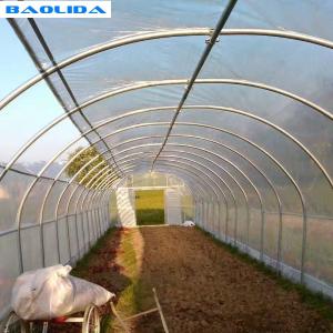 China Plastic Covering Polyethylene Film Greenhouse / Single Span Tunnel Flower Power Greenhouse supplier