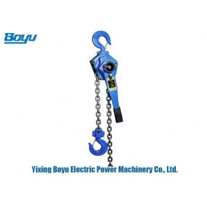 China Ratchet Lever Chain Hoist Handle Lifting Equipment Rated Load Lifting Capacity 9 Ton supplier