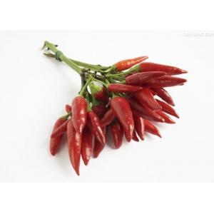 China Non Irradiated Mild Dried Red Chilies Stemmed Chili Pods Zero Additive supplier