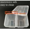 Restaurant Take Away Bento Boxes, Division Food Prep Disposable, Portion