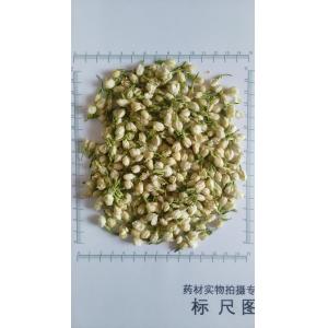 100% natural organic Jasmine flower,Slimming Tea Fresh Jasmine, Fresh Cut Jasmine flower