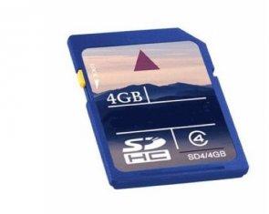 Full Capacity Shockproof Flash High Speed SD Memory Cards 4GB