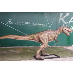 China Simulation Life Size Dinosaur Models For Show Museum Customization Acceptable supplier