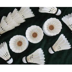 China DAYI-bisai grade badminton feather shuttlecocks supplier