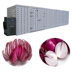 China Industrial Washing Drying Onion Processing Equipment For Fruit Vegetable supplier