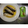 China Canned Sardine Fish in Vegetable Oil Bluetooth Speaker Sardine wholesale