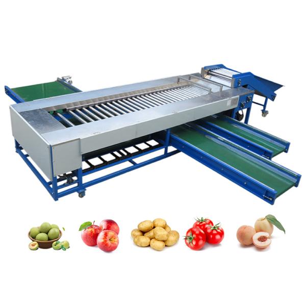 SUS304 Roller Sorting Machine Used For Sorting And Grading Round Fruits And Vegetables
