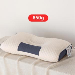 Qualified Soft and Comfort Memory Pure Vegetal Soybean Fiber Hotel Pillow for 2024