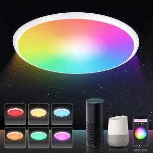 China 24w Tuya Smart Ceiling Light Colorful Rgb Remote Control Smart Light Led Modern Style Music Ceiling Lamb supplier