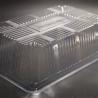China Customizable Clear PET Food Grade Plastic Tray wholesale