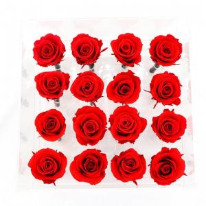 Customized Color Everlasting Rose , New Year Love Real Preserved Roses For Crafts