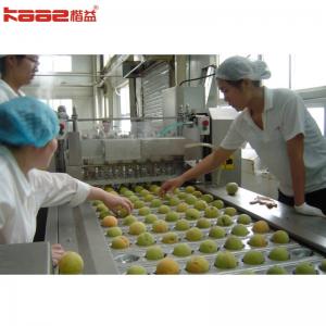 Provided Video Outgoing-Inspection 220V/380V Canned Food Production Line