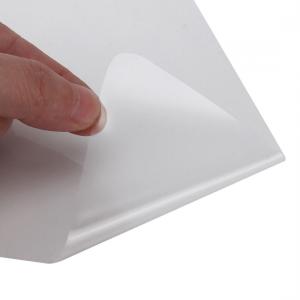 480mm Soft Thermoplastic Adhesive  Plastic Film With Release Paper