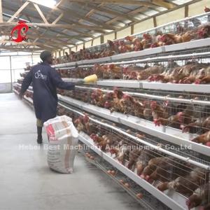 China Imported Coated Chicken Battery Cage ISO9001 , Layer Chicken Cage System 4 Door Sandy