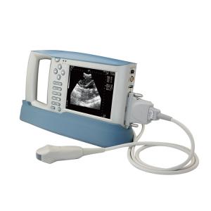 B Mode Medical Ultrasound Machine Diagnostic KX5100 VET Veterinary  Instruments