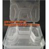 Restaurant Take Away Bento Boxes, Division Food Prep Disposable, Portion