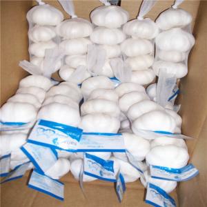 China PURE WHITE GARLIC WITH TUBE PACKAGE wholesale
