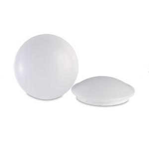 China Techo antirrobo con luces LED montadas en superficie, luz de techo blanca para baño supplier