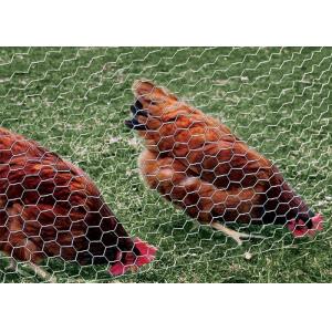 China PVC Coated Galvanized Chicken Wire Mesh 0.5-5.0mm Wire gauge Free Sample supplier