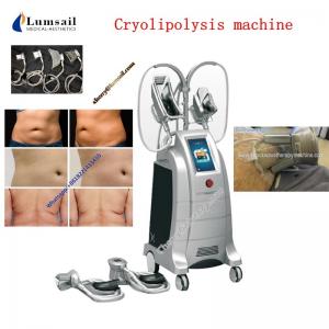 China Fat Freeze Cooling Cryolipolysis Body Slimming Machine Supersonic Operation Systerm supplier