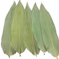 China Eco Friendly 33cm Fresh Bamboo Leaves For Sushi Food on sale