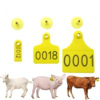 China TPU Livestock ID Tags Non Polluting Animal Identification Tags on sale