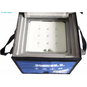 Vacuum Insulated Material Portable Medical Vaccine Travel Cooler Box