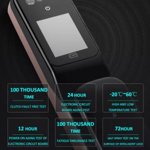 China Automatic Fingerprint Wifi Bluetooth App Face Recognition Door Locks supplier
