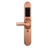 Smart home security system also called electronic door lock can be opend by