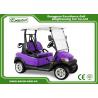 Purple And Black 2 Passenger Electric Car 48V With 1 Year Warranty