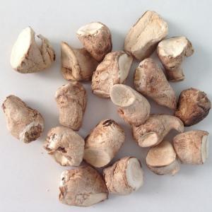 China Pé secado cultivado do cogumelo de Shiitake do preço de fábrica no volume on sale 