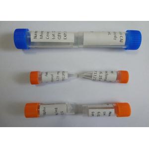 Urine Specimen Mouse Anti-Morphine Monoclone Antibody Drug of Abuse For IVD Manufacturing