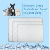China Summer Cooling Latex Pet Mat PVC and Nylon Cat and Dog Sleeping Bed with Ice Silk Cool Feature Animal Pattern Pet Supplies wholesale