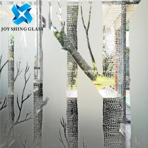 Two Side Coated Acid Etched Glass 4mm 5mm 6mm 8mm Anti-slip for Office / Bathroom