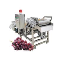 China Fruit Large Engine Washing Machine Guangzhou on sale