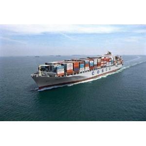 Custom Clearance General Trade Import Export Shipping For Diapers