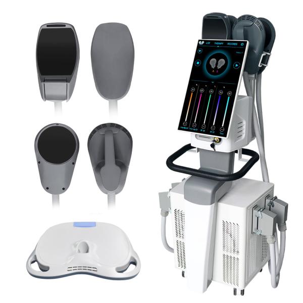 300W-4000W Output Power Ems Body Slimming Machine Rf 14 Tesla Ems Sculpting Machine