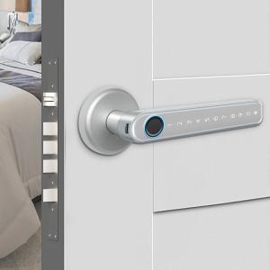 China TUYA Bluetooth Smart Handle Door Lock Anti Corrosion Fingerprint Handle Lock supplier