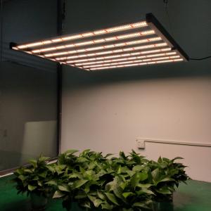 Garden Veg Bloom 600W LED Grow Light for Horticulture Hydroponics