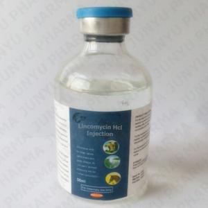 Lincomycin Hcl Injection (10%) for cattle, horse