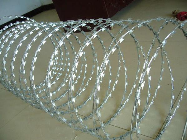 Electro Galvanized Concertina Razor Barbed Wire Razor Tape 12 Gauge in Stock