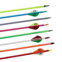 China Multi Color Painting  Spine 500/600/700/800/1000/1200/1500/1800 Youth Carbon Arrows  , Starter Carbon Fiber Arrows on sale