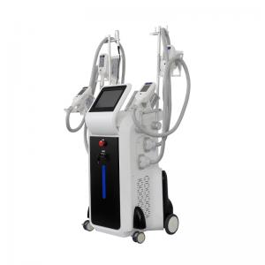 China 2019 Medical CE approval 4 handles vacuum cool body sculpting double chin removal cryolipolysis machine supplier